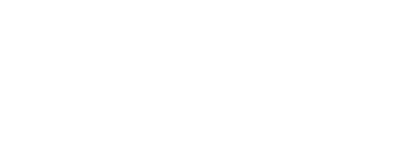 Hermes Pardini